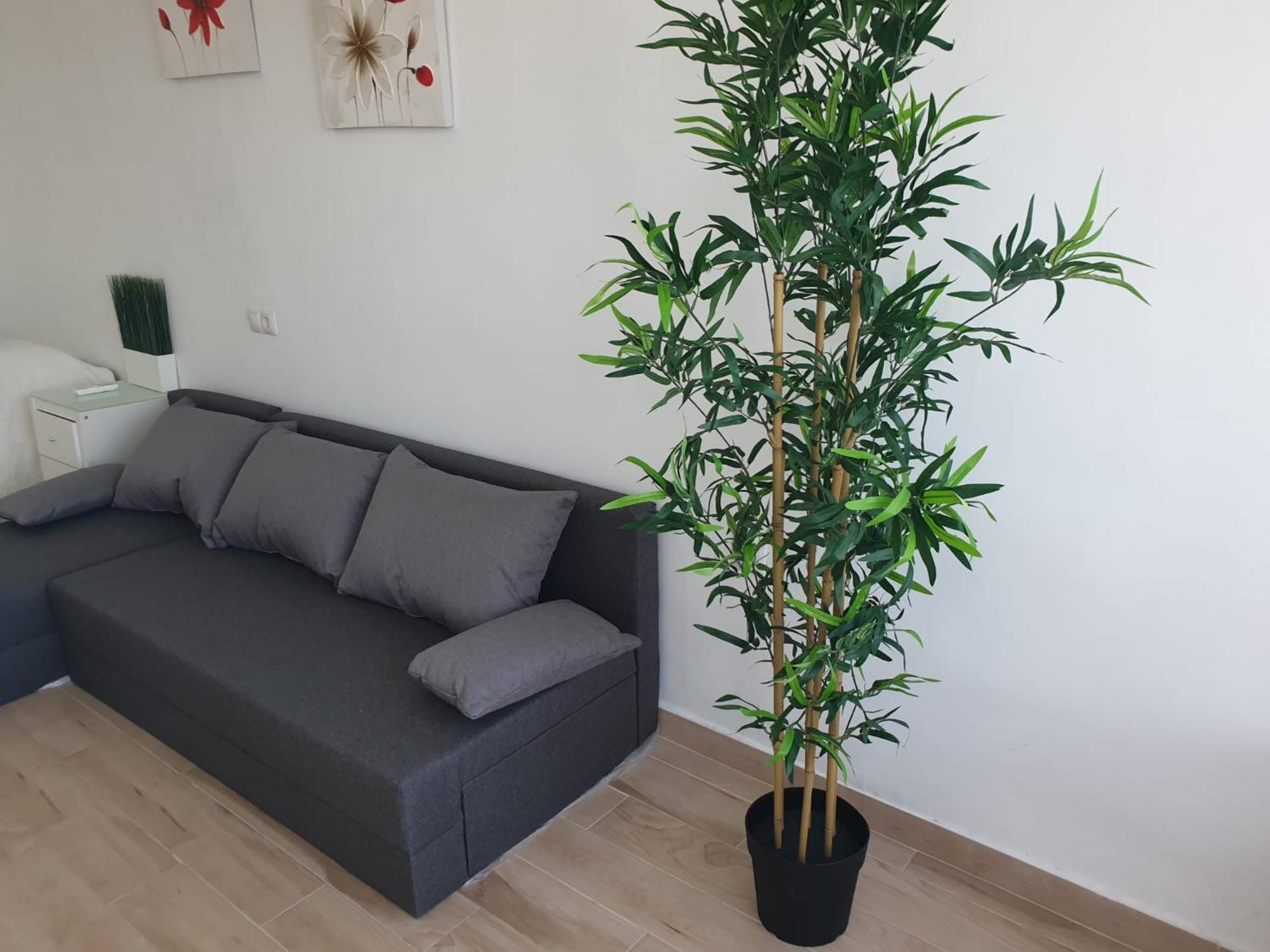 Apartamento Centrico Citrus 2 Lejlighed